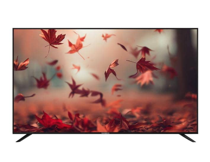 Nasco 32 LED Digital Satellite Television